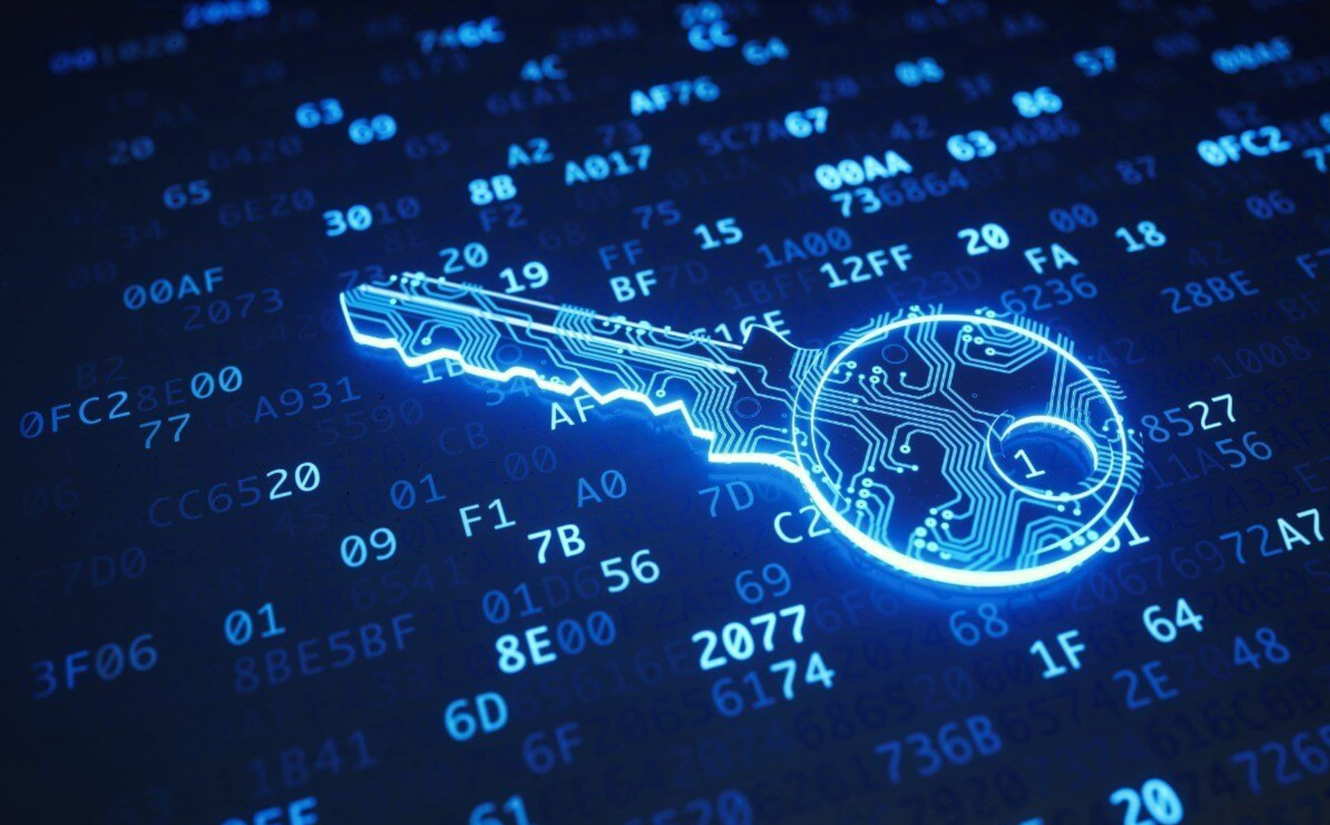 Why We Use ed25519 Keys with Nostr