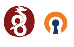 OpenVPN vs WireGuard: Which one should you use?